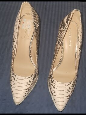 BCBGeneration Snake-Print Pointed Toe Pumps in Cream and Black 4" Heels Size 7.5